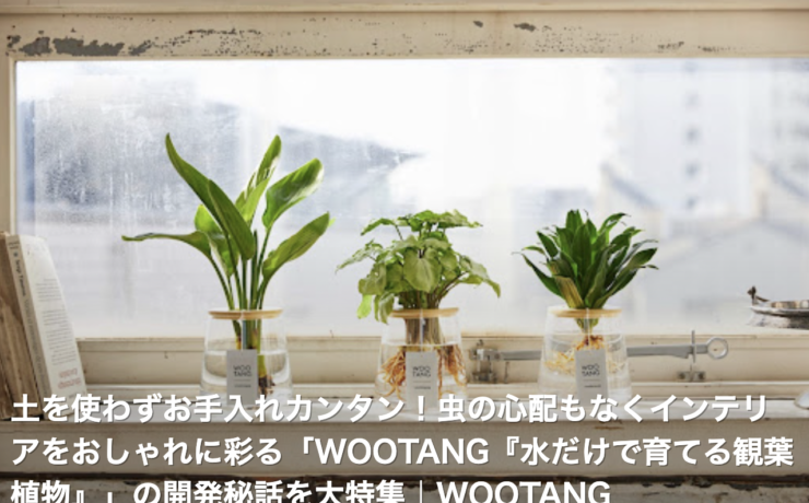 Wootang ウータン 水栽培 水耕栽培の観葉植物オンラインショップ 毎日の水やり不要 枯れにくい 水だけで育てる観葉植物ブランド Wootang ウータン 水栽培 水耕栽培の観葉植物オンラインショップ 毎日の水やり不要 枯れにくい 水だけで育てる観葉植物ブランド