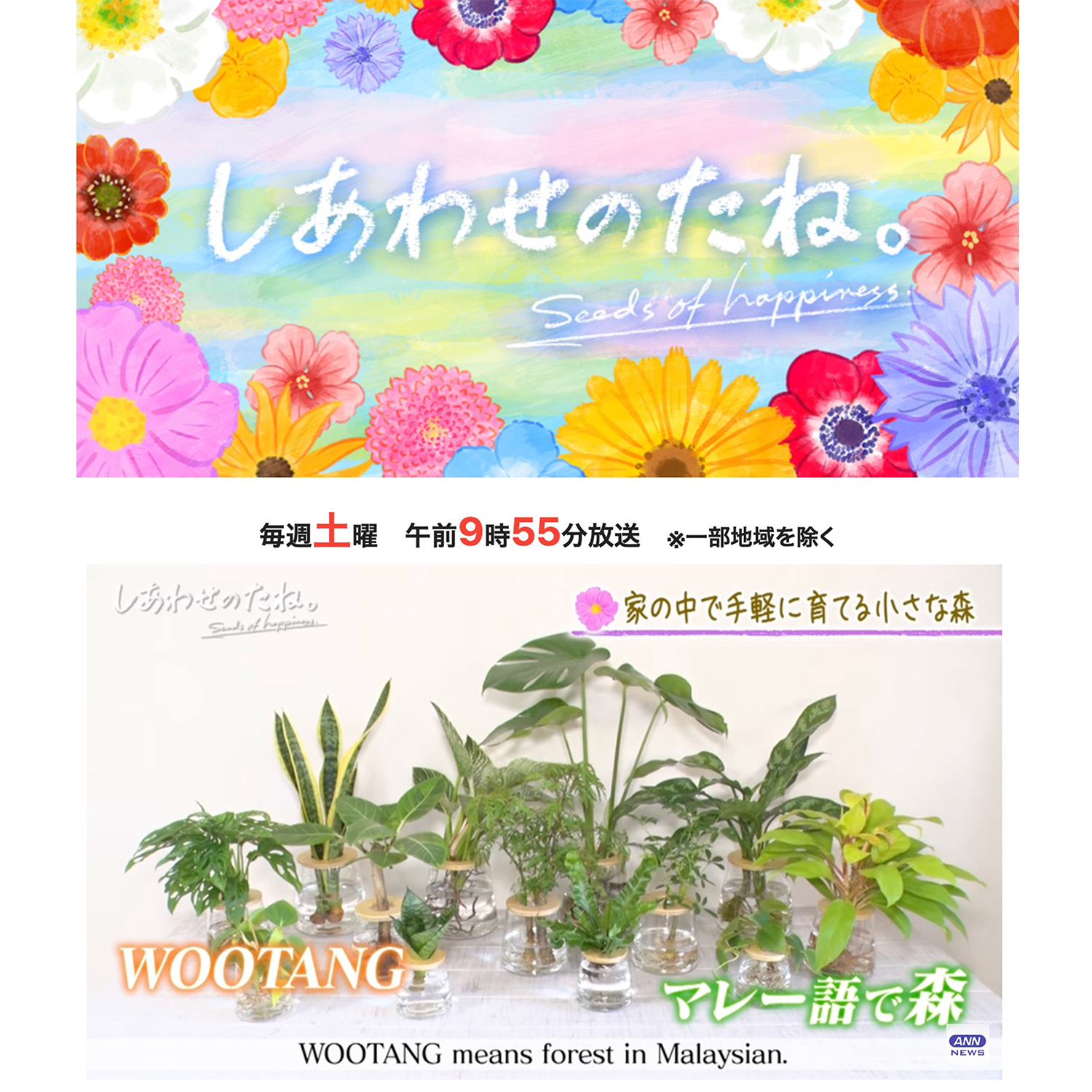 メディア掲載】テレビ朝日「しあわせのたね。」で紹介していただきまし 
