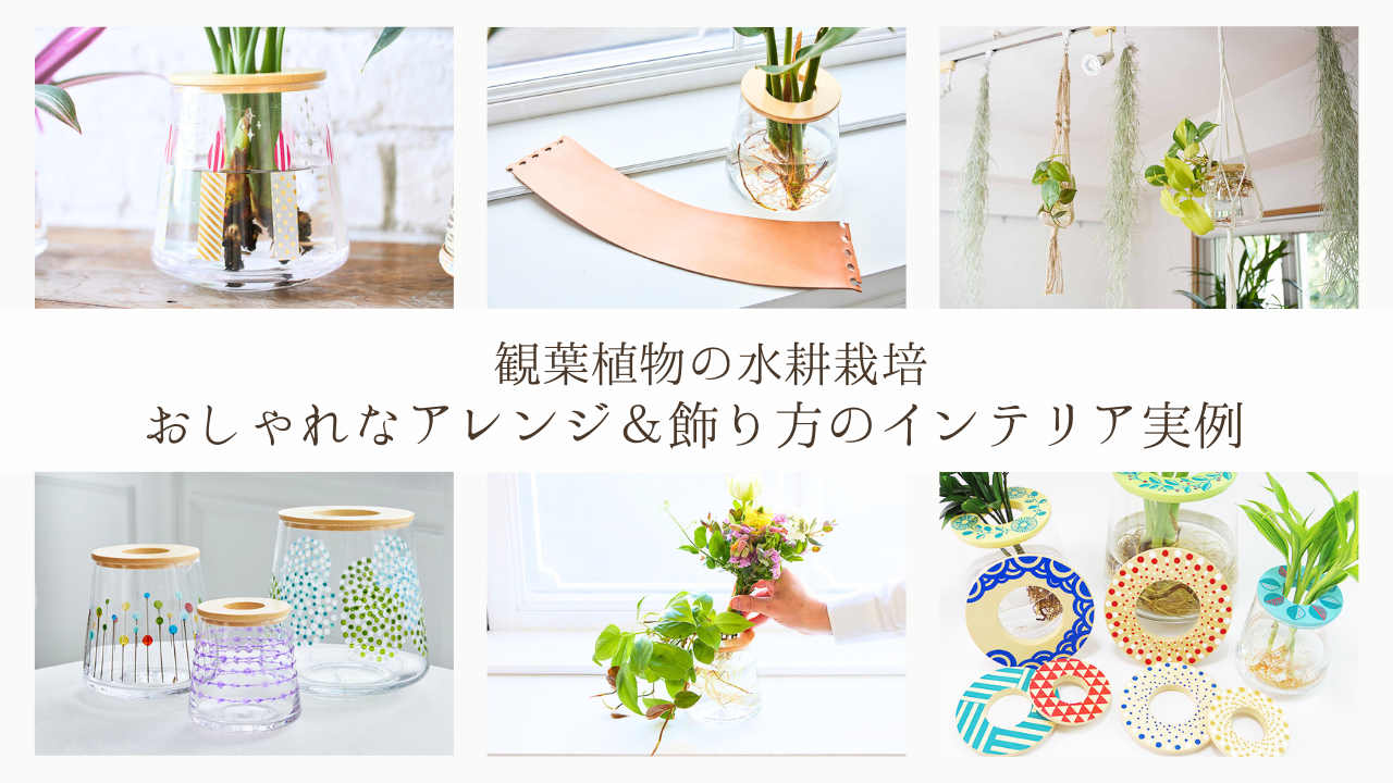 観葉植物の水耕栽培,観葉植物の水栽培,観葉植物の飾り方,水耕栽培のアレンジ,観葉植物のインテリア術