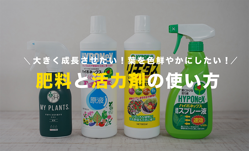 水耕栽培の観葉植物におすすめの肥料と活力剤｜ハイポネックス 