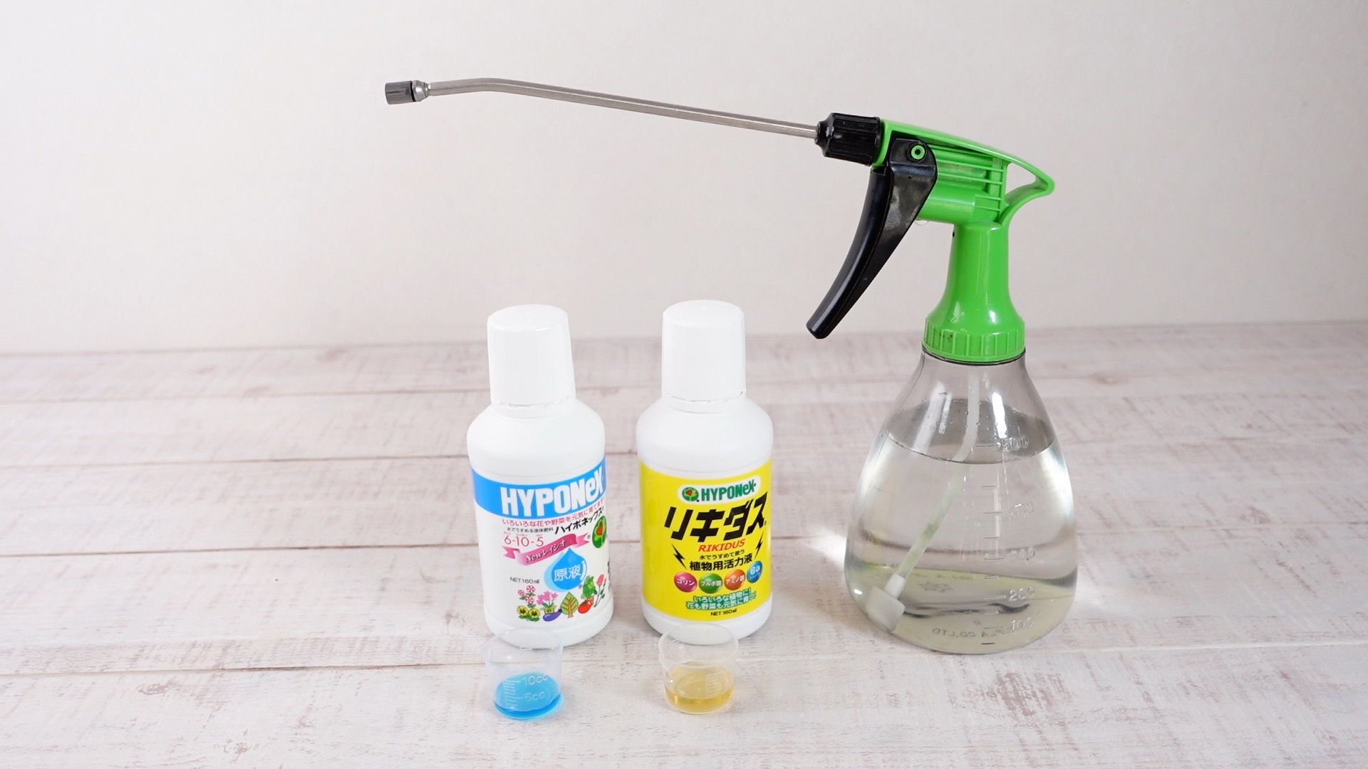肥料を水で薄めてスプレーに入れた様子