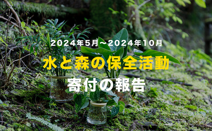 サステナブル,観葉植物