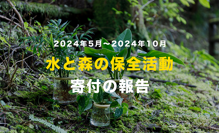 サステナブル,観葉植物