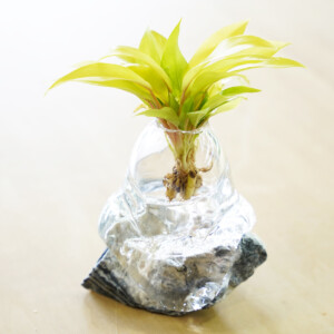 F002