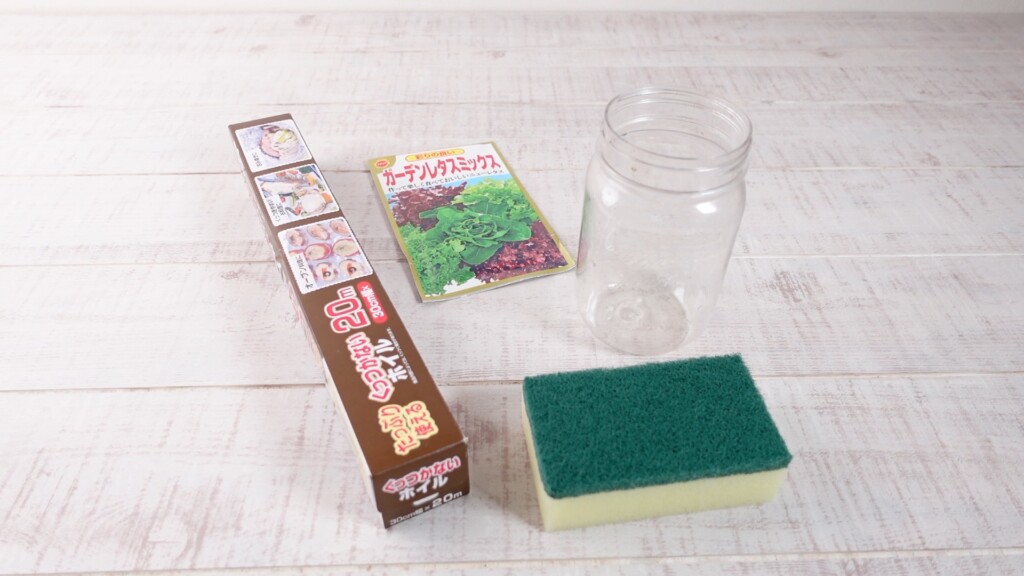 種から水耕栽培する
