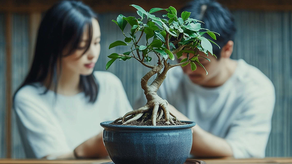 夫婦でガジュマルの手入れをする様子