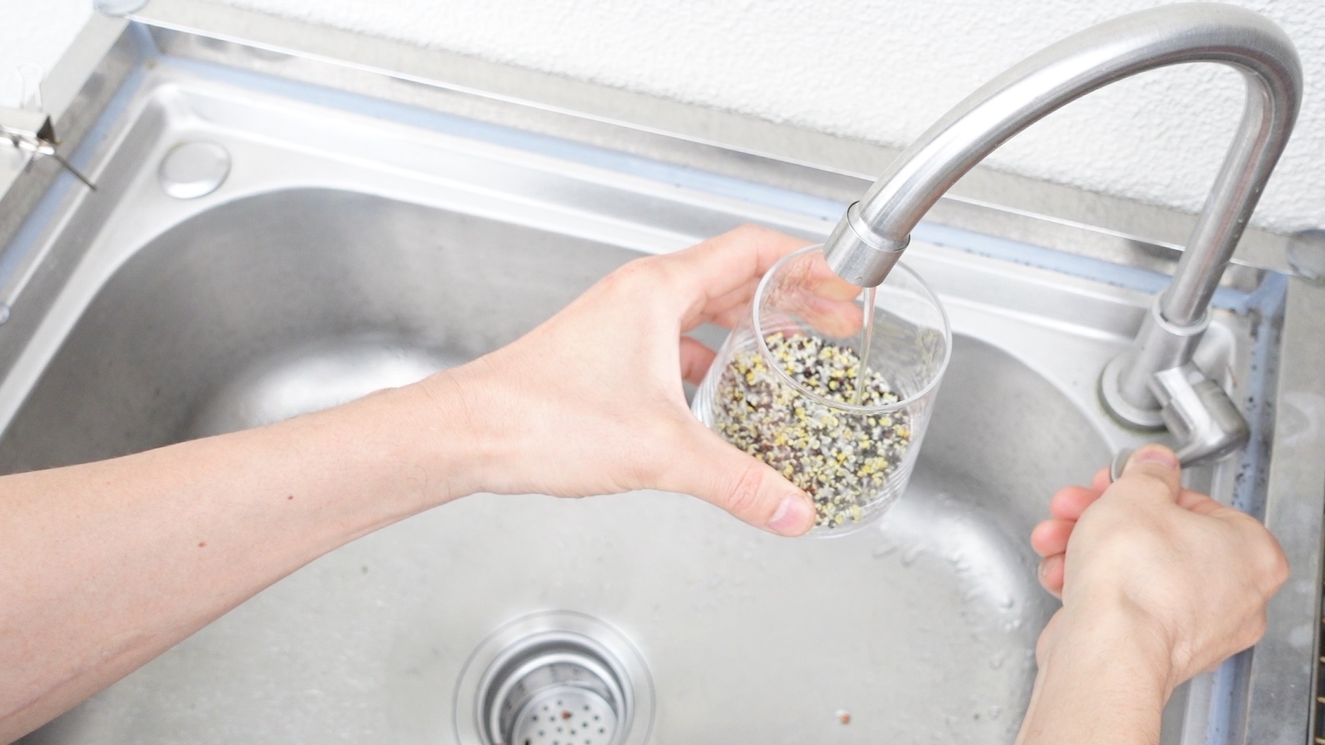 ブロッコリースプラウトの種を入れた器に水道水を入れている様子