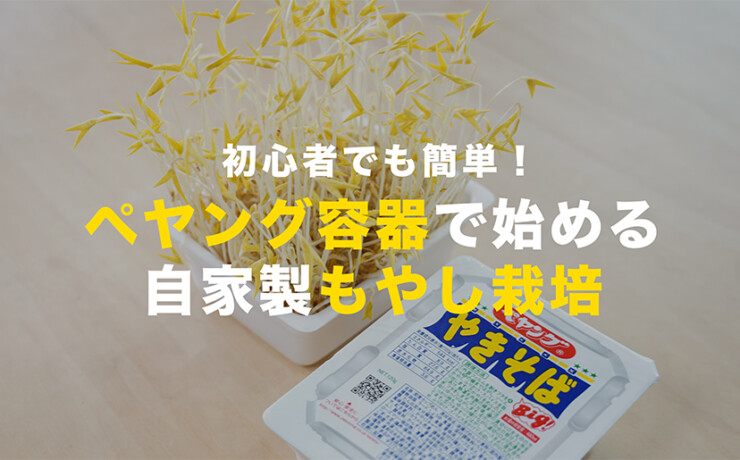 ペヤング容器で作るもやし栽培