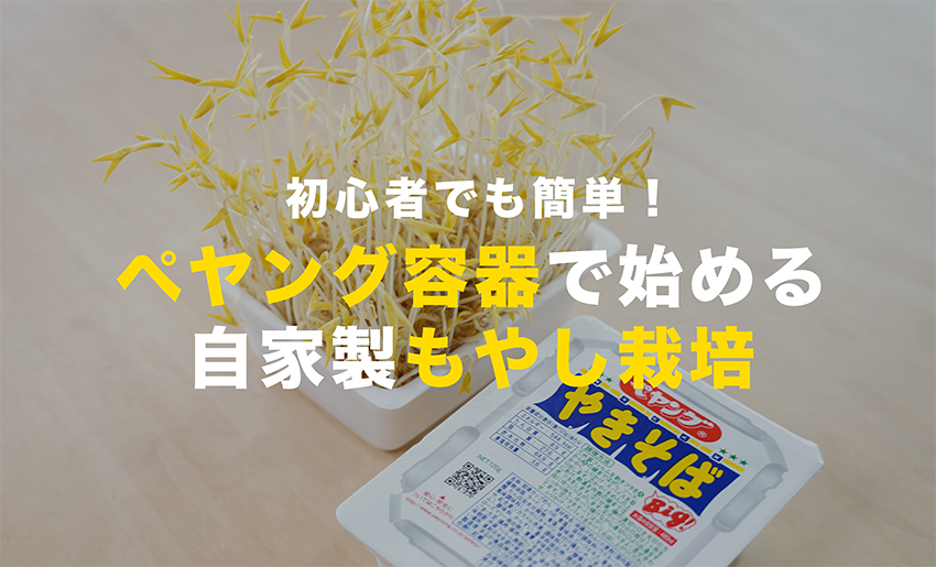 ペヤング容器で作るもやし栽培