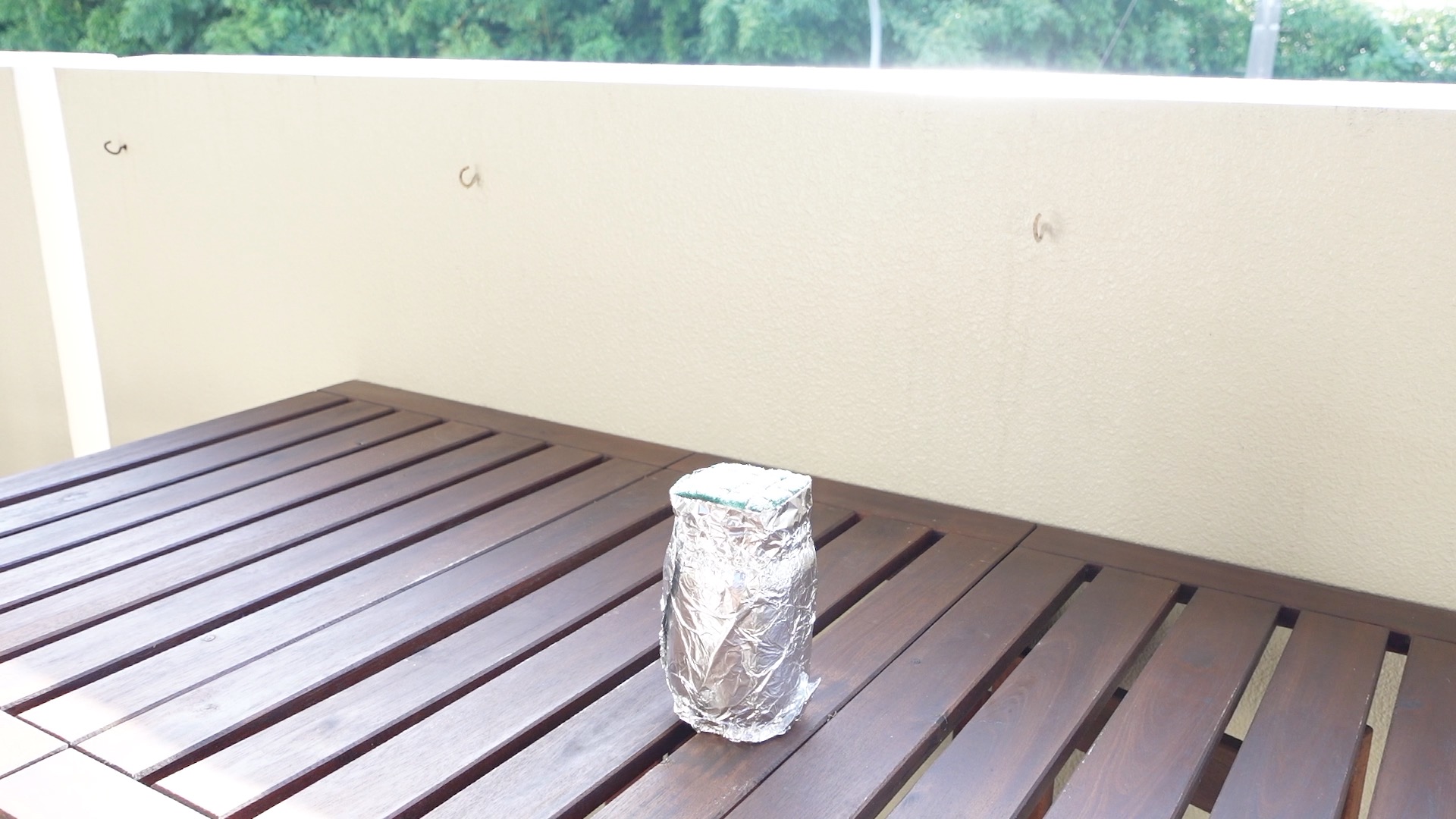 屋外で水耕栽培を始めた様子