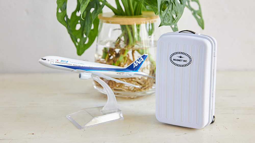 水耕栽培と飛行機とスーツケース