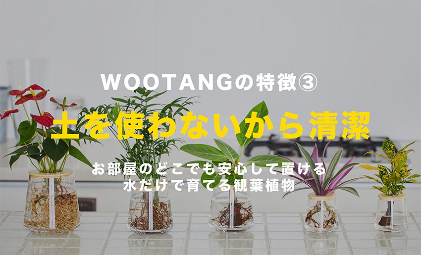 土を使わないから清潔
