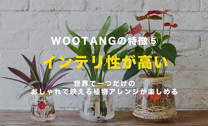 インテリア性が高い