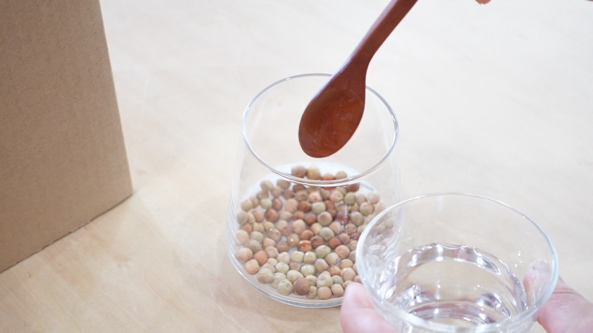 豆苗にスプーンで水をあげている様子