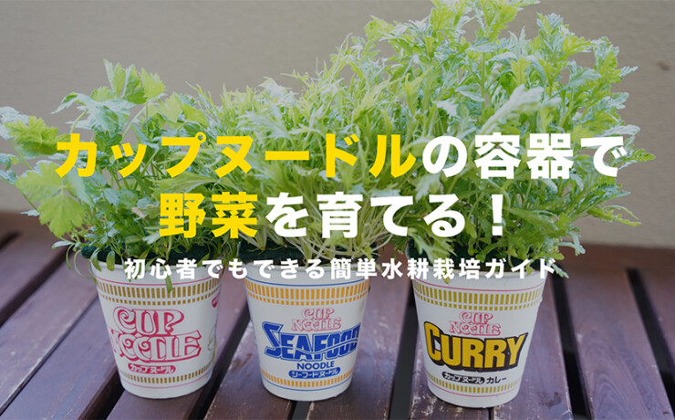 カップヌードルの容器で野菜を育てる