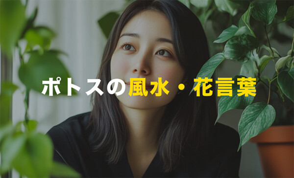 ポトスの風水・花言葉