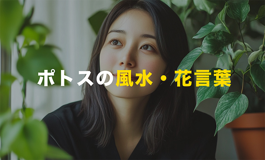 ポトスの風水・花言葉