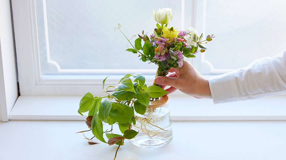 水耕栽培の観葉植物に切り花を一緒に飾っている様子
