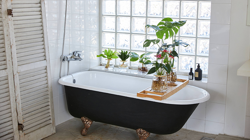バスルームにある水耕栽培の観葉植物