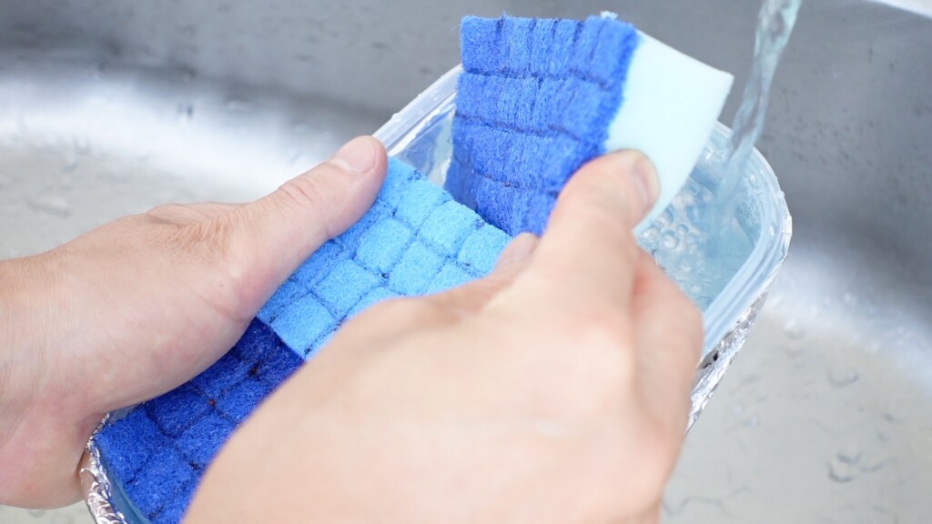 種を蒔いたスポンジをセットした容器に水を注ぐ