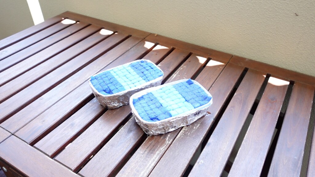 日当たりの良い場所で水耕栽培を始めた様子