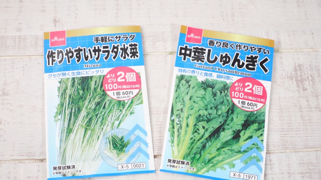 ダイソーの野菜の種（水菜・春菊）