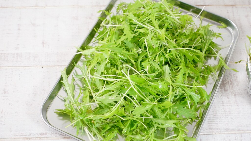 収穫した水菜