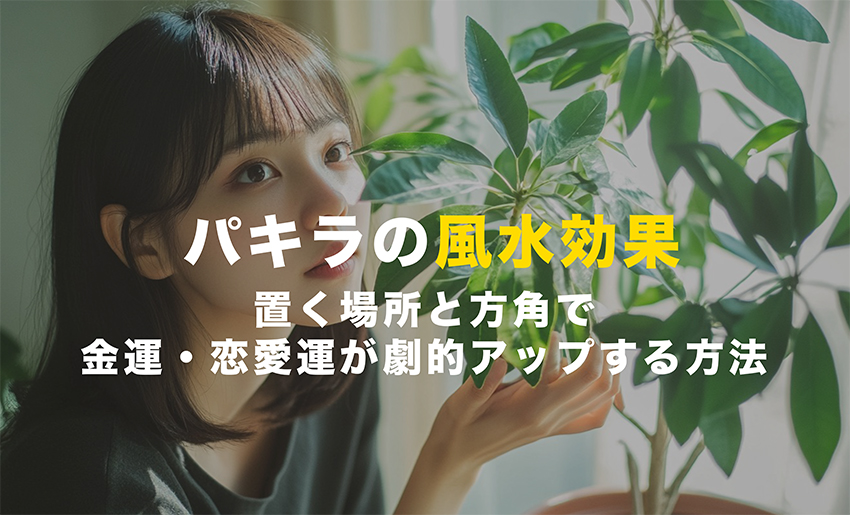 パキラの風水効果