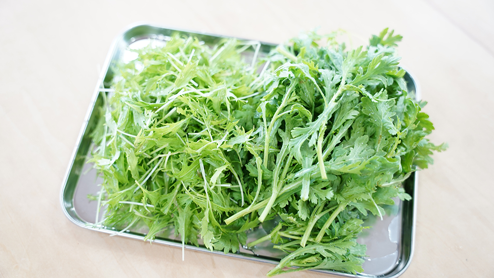 収穫した水菜と春菊