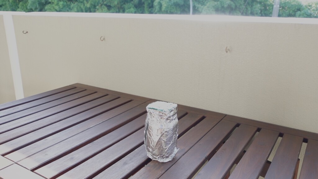 屋外で朝顔の水耕栽培をしている様子