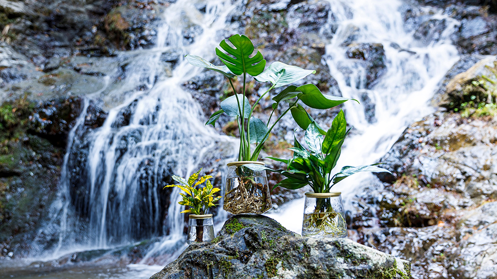 滝の前に置かれたWOOTANGの「水だけで育てる観葉植物」