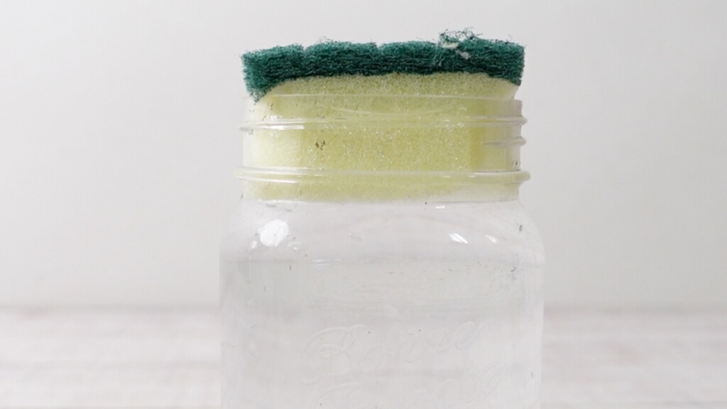 種をまいたスポンジに水が浸かっている様子