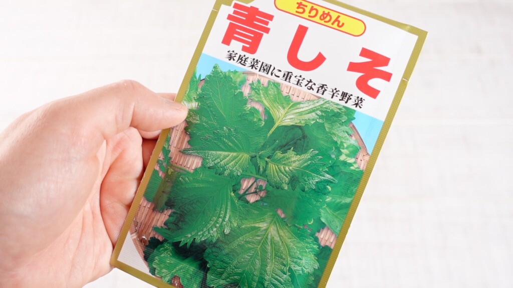 大葉の種の画像