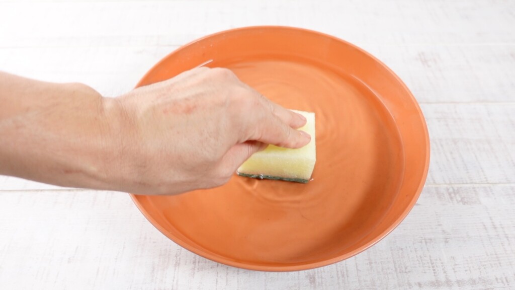 スポンジに水を吸水させている画像