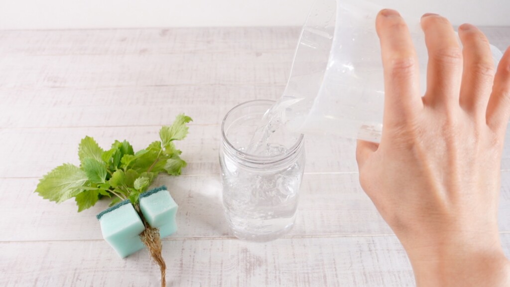 養液を容器に入れている様子