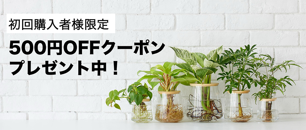 500円OFFクーポン