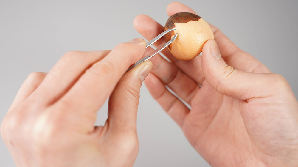 アボカドの種の皮を剥いている様子