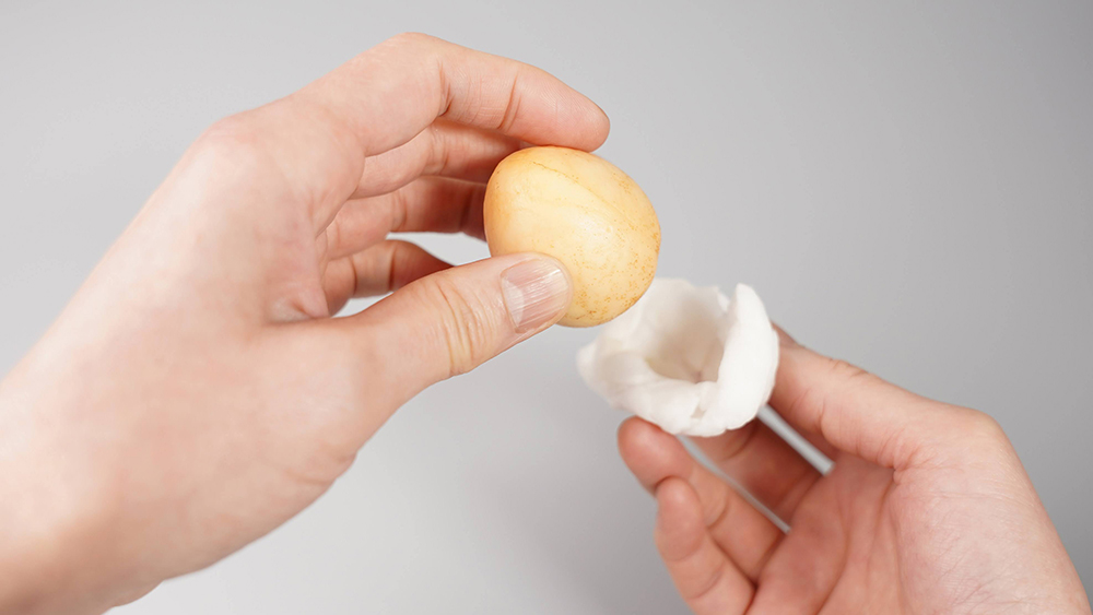 アボカドを湿らせたコットンで包んでいる様子