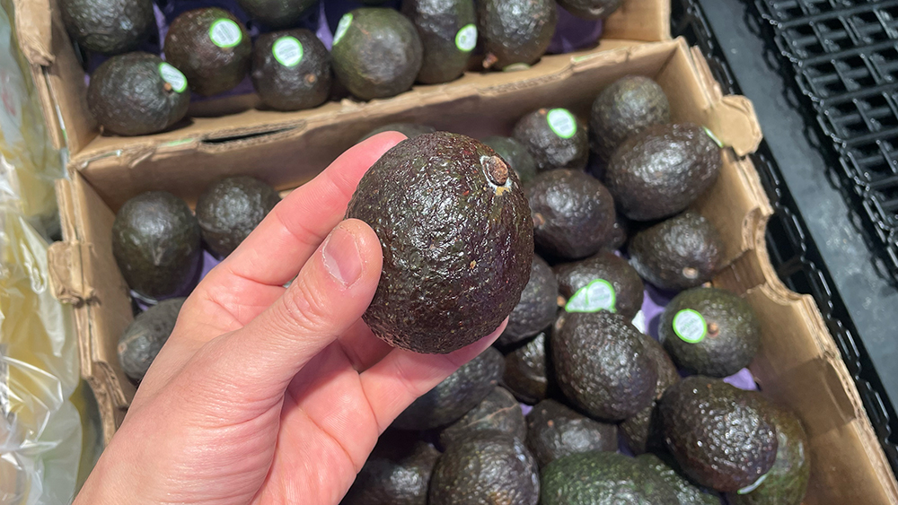 アボカドの選び方