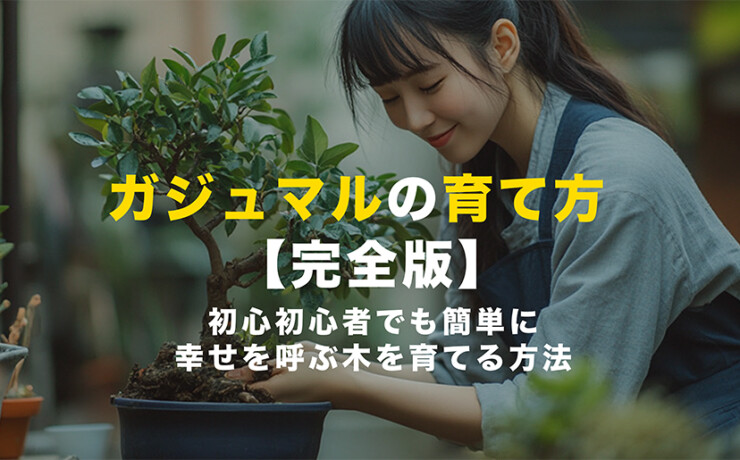 ガジュマルの育て方