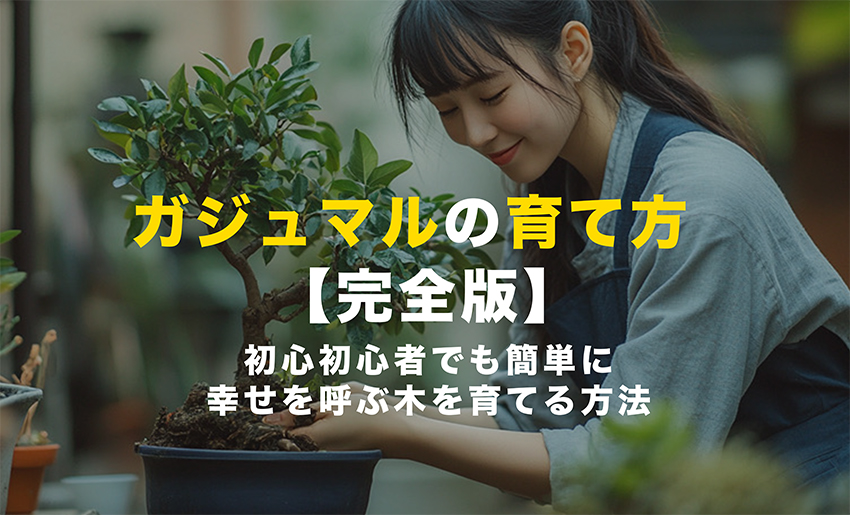 ガジュマルの育て方