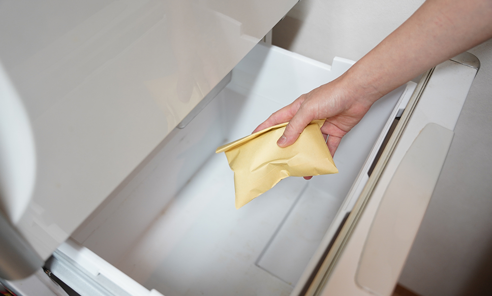 球根を冷蔵庫に入れて春化処理をしている様子