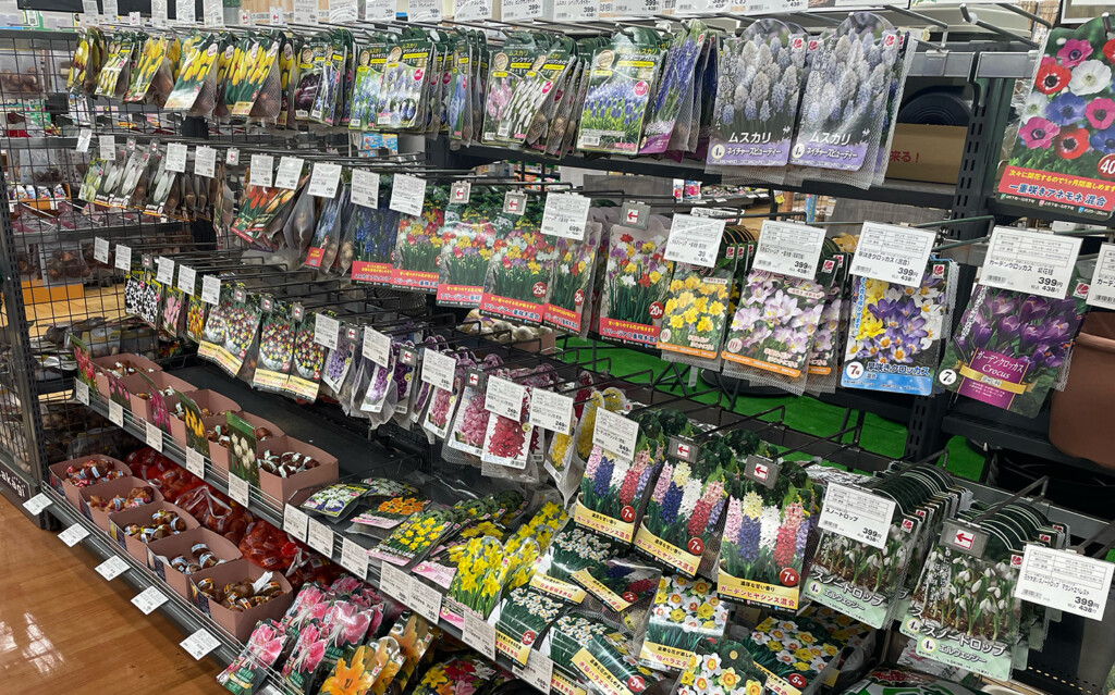球根を売っている店の様子