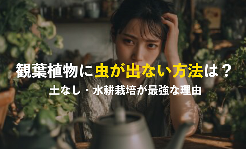観葉植物で虫を防ぐ方法