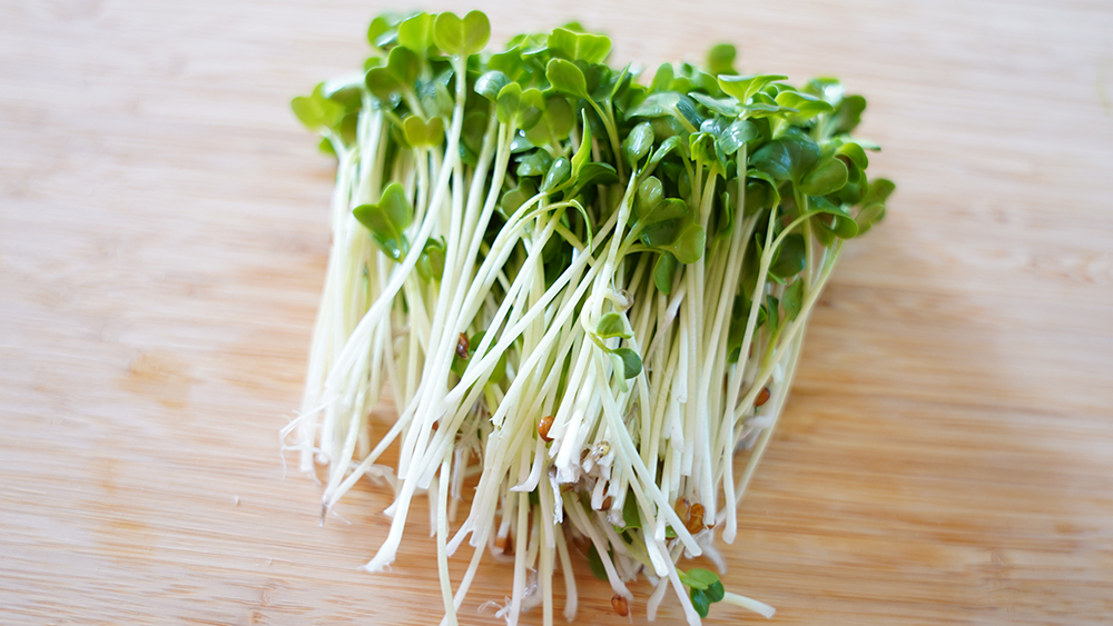 かいわれ大根