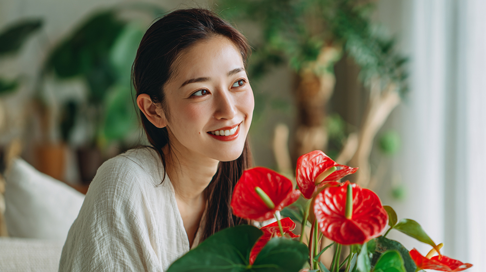 アンスリウムの育て方