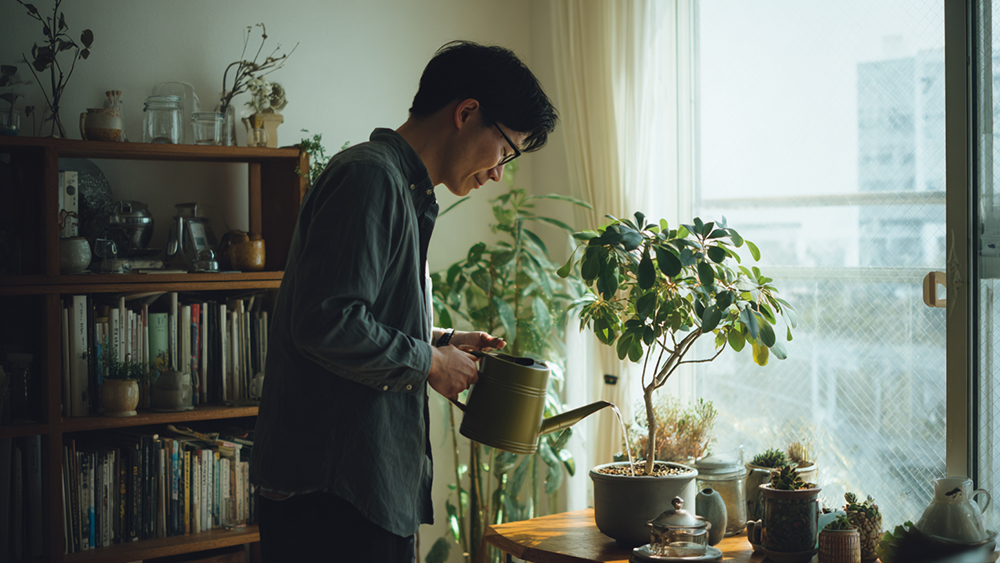 フィカスの水やり