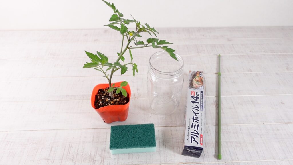 ミニトマトの水耕栽培に必要な材料