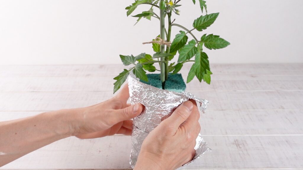 ミニトマトの容器にアルミホイルを巻く