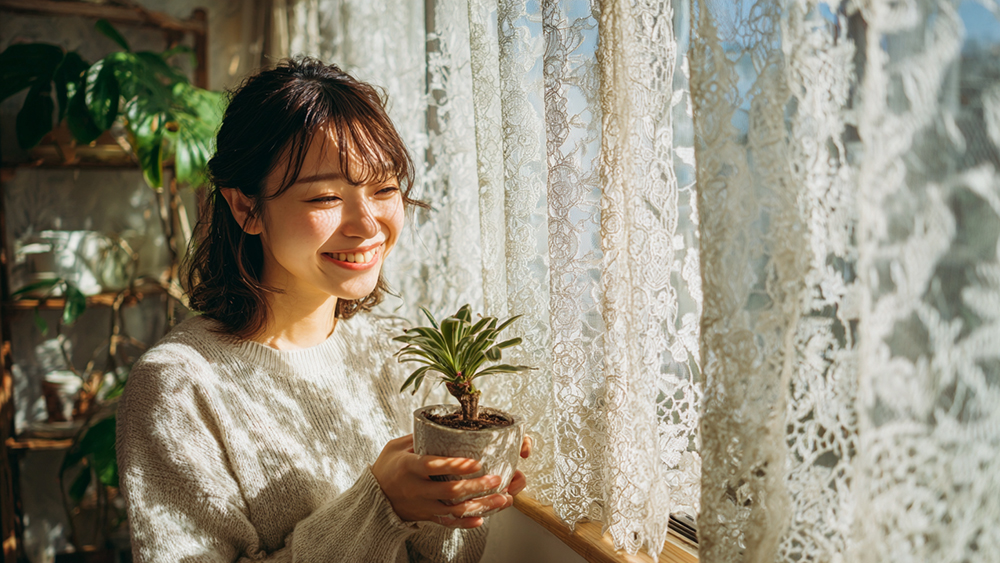 ドラセナの育て方